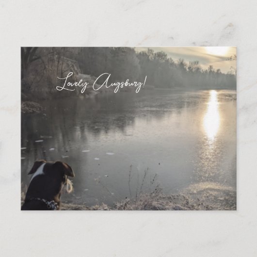 Carte Postale Lac de vache avec chien à Augsburg (Devant)