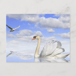 Carte Postale Lac des Cygnes