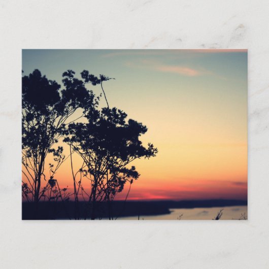 Carte Postale lac des ozarks (Devant)