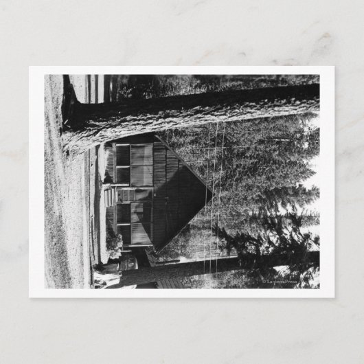 Carte Postale Lac Diamond, Oregon Vue Cabine Photographie (Devant)