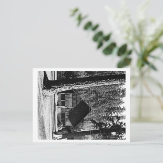 Carte Postale Lac Diamond, Oregon Vue Cabine Photographie (Debout devant)