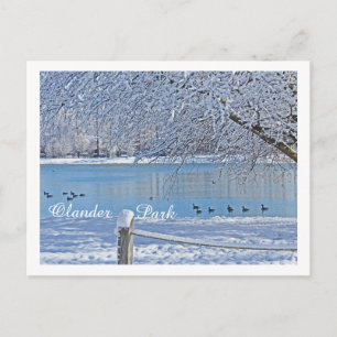 CARTE POSTALE LAC EN PARC HIVER/OLANDER, SYLVANIE, OH
