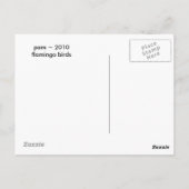 Carte Postale Lac Flamant rose (Dos)