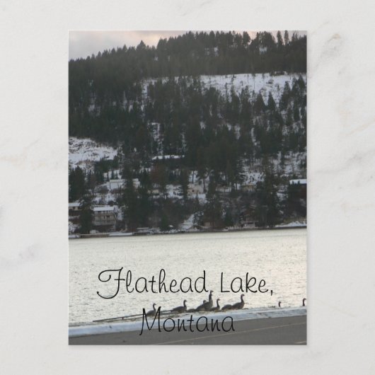 Carte Postale Lac Flathead, Montana (Devant)