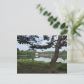 Carte Postale Lac Gerar Rehoboth Beach Delaware DE Photographie (Debout devant)