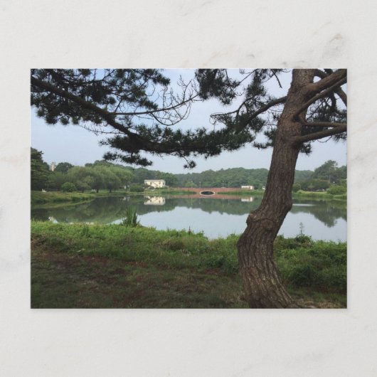 Carte Postale Lac Gerar Rehoboth Beach Delaware DE Photographie (Devant)