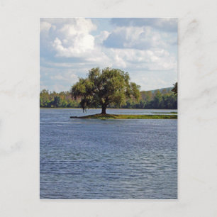 Carte Postale Lac Iron Mountain