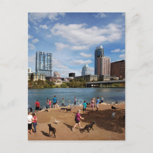 Carte Postale Lac Ladybird Parc pour chiens Austin Texas Skyline