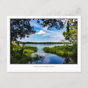 Carte Postale Lac Lou