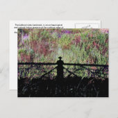 Carte Postale Lac Lubbock Landmark (Devant / Derrière)