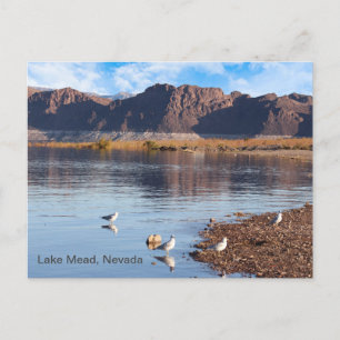 Carte Postale Lac Mead, Boulder Beach, Nevada