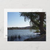 Carte Postale Lac Mojave Narrows (Devant / Derrière)