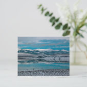 Carte Postale Lac mono 01 (Debout devant)