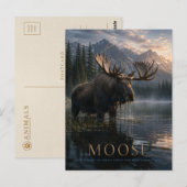 Carte Postale Lac Moose Mountain ANIMAUX (Devant / Derrière)