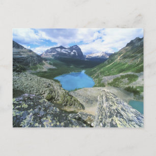 Carte Postale Lac O'Hara, parc national Yoho, Colombie-Britanniq