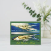 Carte Postale Lac Okeechobee, Floride, États-Unis (Debout devant)