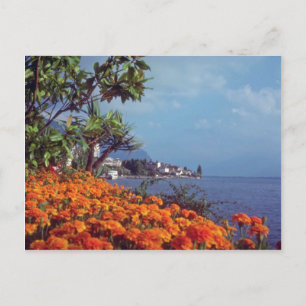 Carte Postale Lac Orange Genève, Montreux, Suisse fleurs