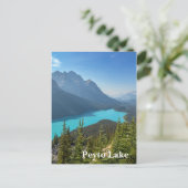 Carte Postale Lac Peyto à Banff Canada (Debout devant)
