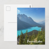 Carte Postale Lac Peyto à Banff Canada (Devant / Derrière)