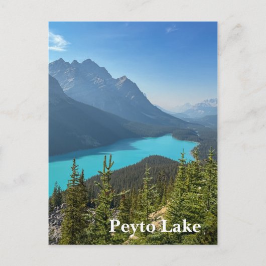Carte Postale Lac Peyto à Banff Canada (Devant)