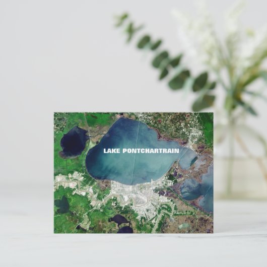 Carte Postale Lac Pontchartrain (Debout devant)