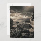 Carte Postale Lac Pyramide, Nevada 2 (Devant / Derrière)