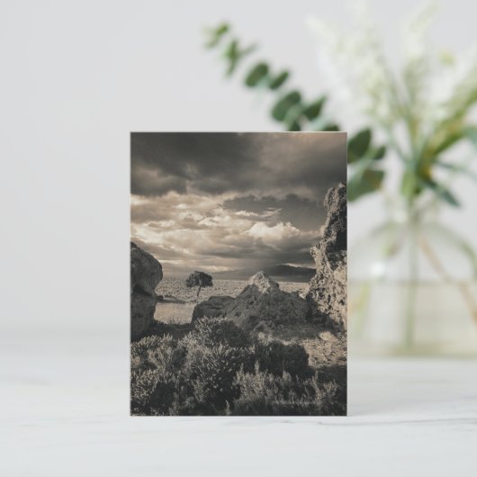 Carte Postale Lac Pyramide, Nevada 2 (Debout devant)