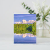 Carte Postale Lac Sesqui (Debout devant)