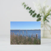 Carte Postale Lac Simcoe (Debout devant)