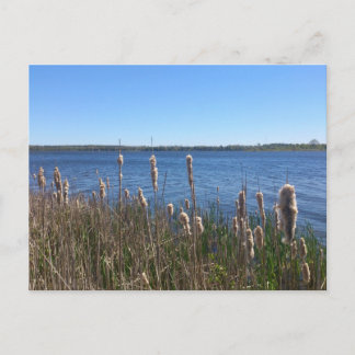 Carte Postale Lac Simcoe