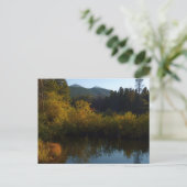 Carte Postale Lac Sprague à l'automne (Debout devant)