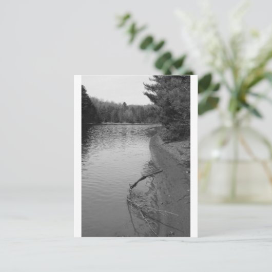 Carte Postale Lac Spring (Debout devant)