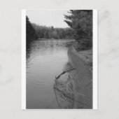 Carte Postale Lac Spring (Devant)