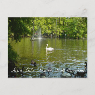 Carte Postale Lac Swan