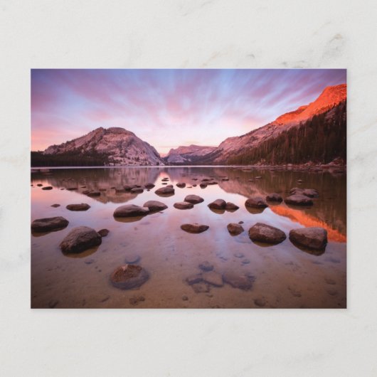 Carte Postale Lac Tenaya (Devant)