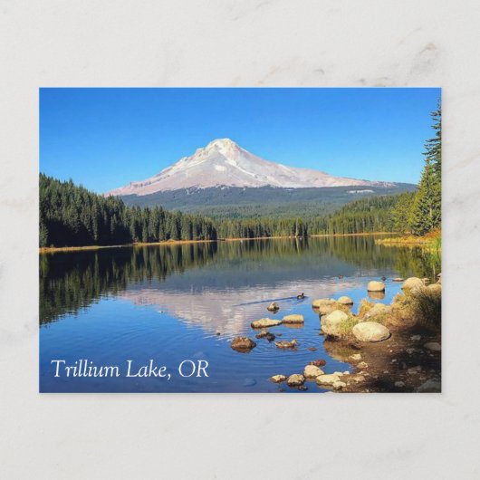 Carte Postale Lac Trillium (Devant)