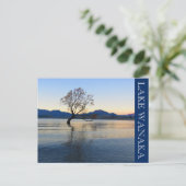 Carte Postale lac wanaka blues (Debout devant)