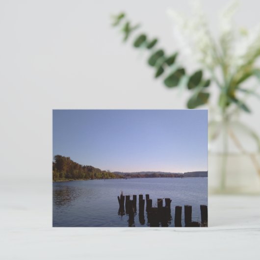 Carte Postale Lac Washington (Debout devant)