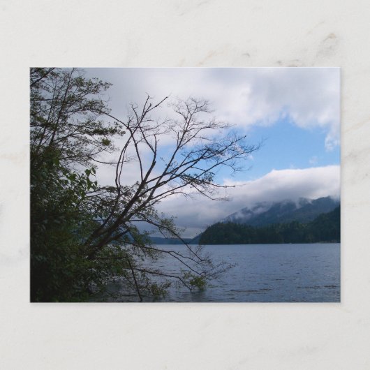 Carte Postale Lac Whatcom (Devant)