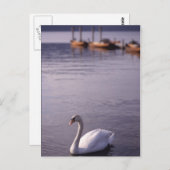 Carte Postale Lac Windermere (Devant / Derrière)