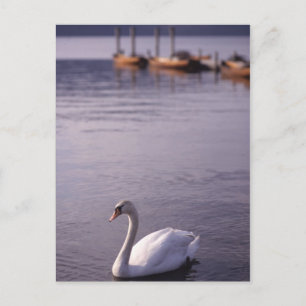 Carte Postale Lac Windermere