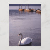 Carte Postale Lac Windermere (Devant)