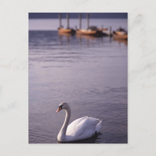 Carte Postale Lac Windermere (Devant)