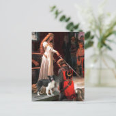 Carte Postale L'Accolade - Border Collie (Z) (Debout devant)