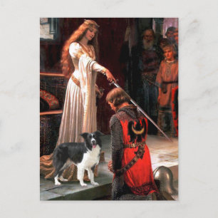 Carte Postale L'Accolade - Border Collie (Z)