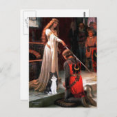 Carte Postale L'Accolade - Chat noir et blanc (Devant / Derrière)