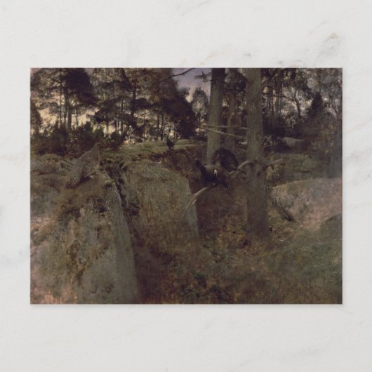 Carte Postale L'accouplement des caperoles, 1888 (Devant)
