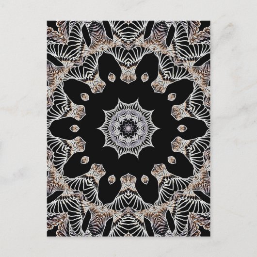 Carte Postale Lace Kaleidoscope (Devant)
