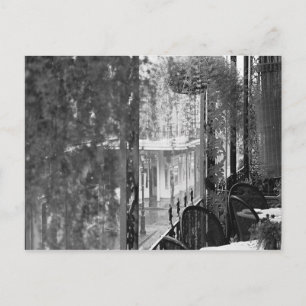 Carte postale Lace View French Quarter New Orleans
