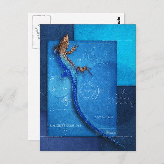 Carte Postale Lacertidae v1.2 (Devant / Derrière)